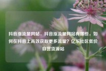 抖音涨流量网站,抖音涨流量网站有哪些,如何在抖音上高效获取更多流量?亿乐社区低价自营货源站