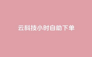 12云科技24小时自助下单 - 12云科技24小时自助订购,便捷高效无忧服务!