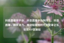 抖音直播放平台,抖音直播平台叫什么,抖音直播,释放潜力,推动短视频时代的变革亿乐社区SUP货源站