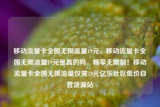 移动流量卡全国无限流量19元,移动流量卡全国无限流量19元是真的吗,畅享无限制!移动流量卡全国无限流量仅需19元亿乐社区低价自营货源站