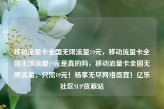 移动流量卡全国无限流量19元,移动流量卡全国无限流量19元是真的吗,移动流量卡全国无限流量,只需19元!畅享无尽网络盛宴!亿乐社区SUP货源站