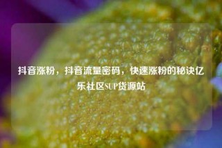 抖音涨粉,抖音流量密码,快速涨粉的秘诀亿乐社区SUP货源站