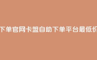 卡盟最低自助下单官网 - 卡盟自助下单平台最低价格介绍!