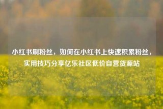 小红书刷粉丝,如何在小红书上快速积累粉丝,实用技巧分享亿乐社区低价自营货源站