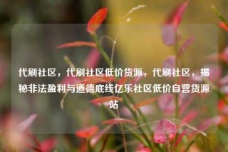 代刷社区,代刷社区低价货源,代刷社区,揭秘非法盈利与道德底线亿乐社区低价自营货源站