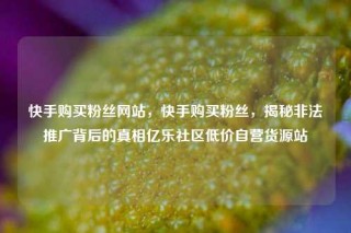 快手购买粉丝网站,快手购买粉丝,揭秘非法推广背后的真相亿乐社区低价自营货源站