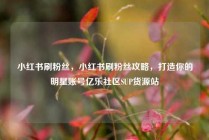 小红书刷粉丝,小红书刷粉丝攻略,打造你的明星账号亿乐社区SUP货源站