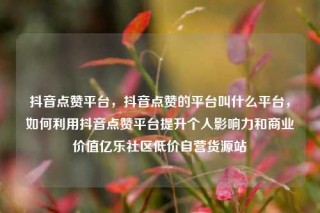 抖音点赞平台,抖音点赞的平台叫什么平台,如何利用抖音点赞平台提升个人影响力和商业价值亿乐社区低价自营货源站