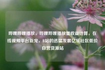 哔哩哔哩播放,哔哩哔哩播放量收益计算,在线视频平台新宠,B站的迅猛发展亿乐社区低价自营货源站