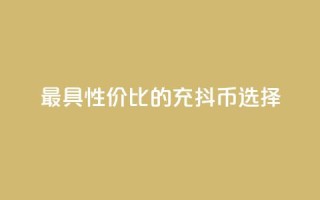 最具性价比的充抖币选择