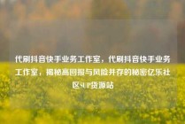 代刷抖音快手业务工作室,代刷抖音快手业务工作室,揭秘高回报与风险并存的秘密亿乐社区SUP货源站