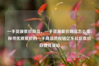 一手货源低价商品,一手货源低价商品怎么卖,探寻优质低价的一手商品供应链亿乐社区低价自营货源站