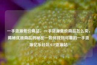 一手货源低价商品,一手货源低价商品怎么卖,揭秘优质商品的秘密—如何找到可靠的一手货源亿乐社区SUP货源站