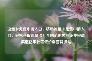 流量卡免费申请入口,移动流量卡免费申请入口,轻松获取流量卡!全国范围内的免费申请渠道亿乐社区低价自营货源站