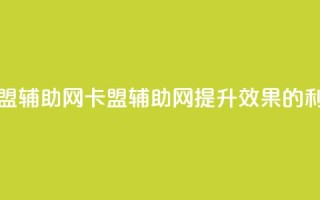卡盟辅助网(卡盟辅助网:提升SEO效果的利器)