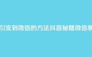 抖音最新引流到微信的方法(抖音秘籍 微信暴增好办法)