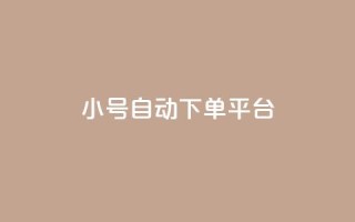ks小号自动下单平台 - KS小号自动下单平台,一键畅享便捷购物体验!