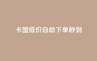 卡盟低价自助下单秒到 - 卡盟自助下单快速到账!