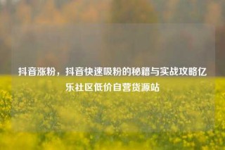 抖音涨粉,抖音快速吸粉的秘籍与实战攻略亿乐社区低价自营货源站