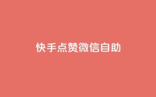 快手点赞微信自助 - 快手点赞与微信自助操作全指南!