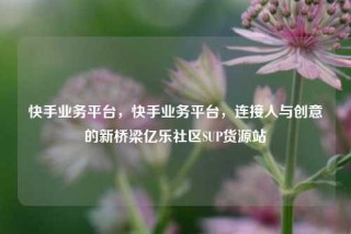 快手业务平台,快手业务平台,连接人与创意的新桥梁亿乐社区SUP货源站