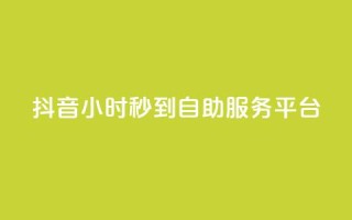 抖音24小时秒到自助服务平台,ks便宜的下单平台 - 抖音评论挣钱是什么套路 - Dy号商购买