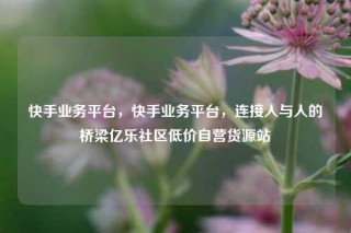 快手业务平台,快手业务平台,连接人与人的桥梁亿乐社区低价自营货源站