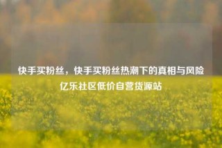快手买粉丝,快手买粉丝热潮下的真相与风险亿乐社区低价自营货源站