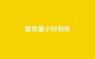 dy播放量24小时到账,卡盟低价自助下单 - 秒赞助手QQ - ks在线业务平台
