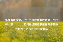 小红书播放量,小红书播放量有收益吗,小红书火爆🔥如何通过高播放量提升你的账号魅力?亿乐社区SUP货源站
