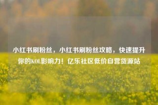 小红书刷粉丝,小红书刷粉丝攻略,快速提升你的KOL影响力!亿乐社区低价自营货源站