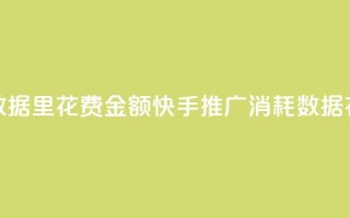 快手推广消耗数据里花费金额(快手推广消耗数据:花费金额大揭秘)