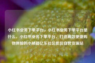 小红书业务下单平台,小红书业务下单平台是什么,小红书业务下单平台,打造高效便捷购物体验的小秘籍亿乐社区低价自营货源站