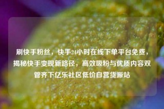 刷快手粉丝,快手24小时在线下单平台免费,揭秘快手变现新路径,高效吸粉与优质内容双管齐下亿乐社区低价自营货源站