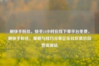 刷快手粉丝,快手24小时在线下单平台免费,刷快手粉丝,策略与技巧分享亿乐社区低价自营货源站