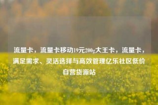 流量卡,流量卡移动19元200g大王卡,流量卡,满足需求、灵活选择与高效管理亿乐社区低价自营货源站