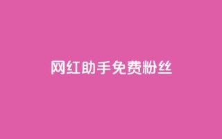 网红助手免费粉丝 - 网红助手助你免费获取更多粉丝技巧!