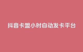 抖音卡盟24小时自动发卡平台,颜夕卡盟 - 全网辅助货源站 - 快手点赞评论软件微信支付
