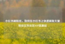 小红书刷粉丝,如何在小红书上快速刷取大量粉丝亿乐社区SUP货源站