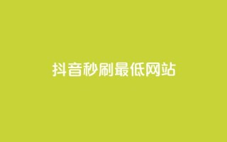抖音秒刷最低网站 - 抖音秒刷必看:网站流量优化技巧!