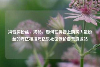 抖音买粉丝,揭秘,如何在抖音上购买大量粉丝的方法和技巧亿乐社区低价自营货源站
