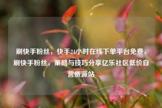 刷快手粉丝,快手24小时在线下单平台免费,刷快手粉丝,策略与技巧分享亿乐社区低价自营货源站