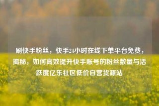 刷快手粉丝,快手24小时在线下单平台免费,揭秘,如何高效提升快手账号的粉丝数量与活跃度亿乐社区低价自营货源站