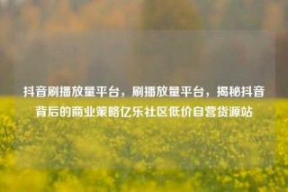 抖音刷播放量平台,刷播放量平台,揭秘抖音背后的商业策略亿乐社区低价自营货源站