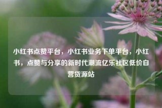 小红书点赞平台,小红书业务下单平台,小红书,点赞与分享的新时代潮流亿乐社区低价自营货源站