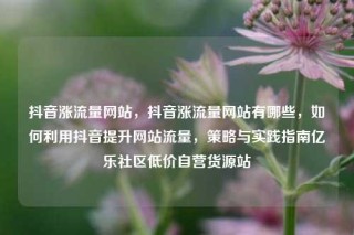 抖音涨流量网站,抖音涨流量网站有哪些,如何利用抖音提升网站流量,策略与实践指南亿乐社区低价自营货源站