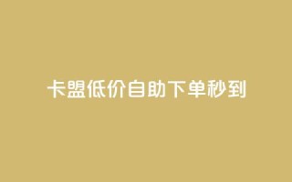 卡盟低价自助下单秒到 - 卡盟自助下单快速到账!