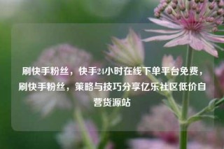 刷快手粉丝,快手24小时在线下单平台免费,刷快手粉丝,策略与技巧分享亿乐社区低价自营货源站