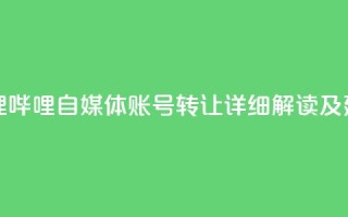 哔哩哔哩自媒体账号转让:详细解读及建议