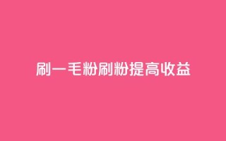 ks刷一毛1000粉(KS刷粉1000,提高收益)